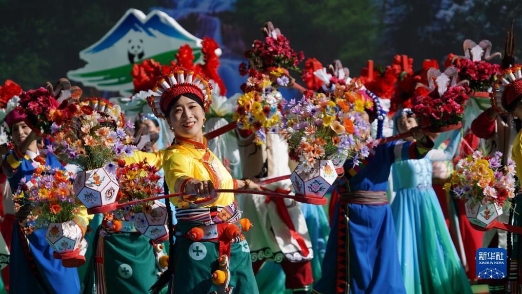 太阳城游戏登录